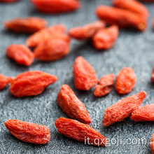 Nutrizione organica della frutta arancione della bacca di goji rossa